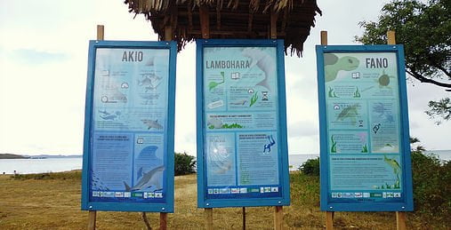 nformation Boards detailing key facts on dugong and seagrass (center) in the local language 